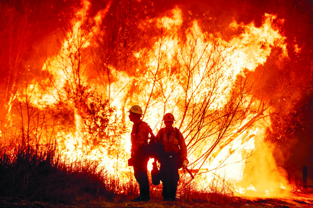 Los Angeles Wildfires Claim 25 Lives, Arson Suspect Arrested